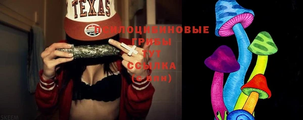 тгк Алексин