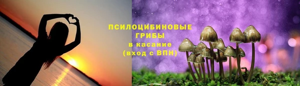 тгк Алексин