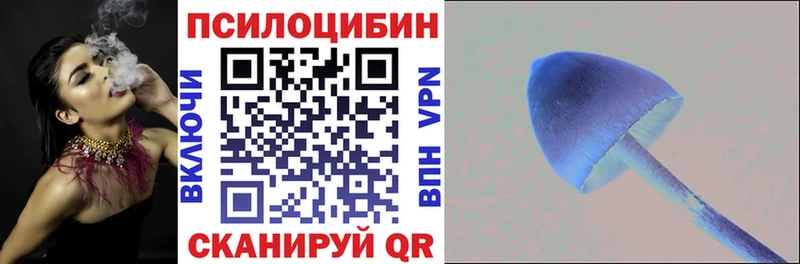 Псилоцибиновые грибы мухоморы  где купить   Лаишево 
